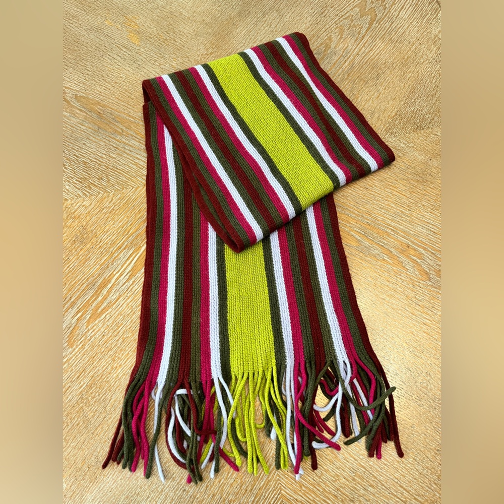 Rectangular Scarf Multi Color Stripe Fringed Ends… - image 4